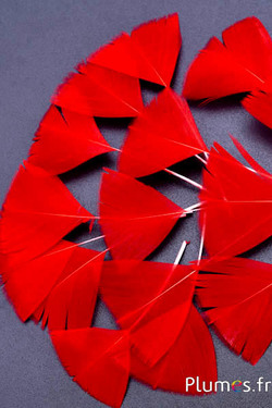 Blütenblätter aus Federn - 6-8 cm x 3-4 cm - rot